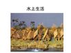 1-1_R.jpg(4393 byte)